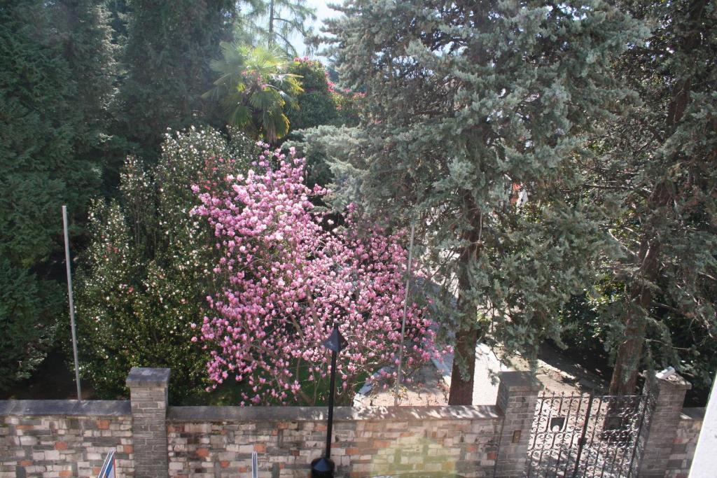 Irene - Casa Centro Ascona