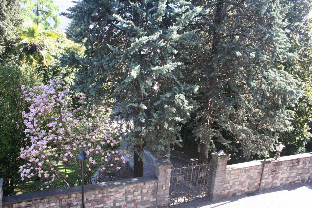 Apartamento Irene - Casa Centro Ascona