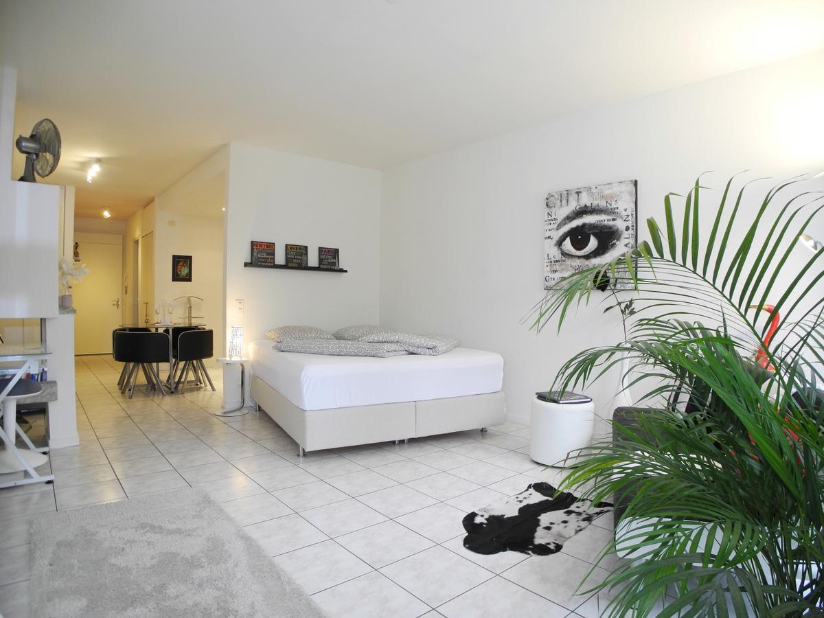 Apartment Irene - Casa Centro Ascona
